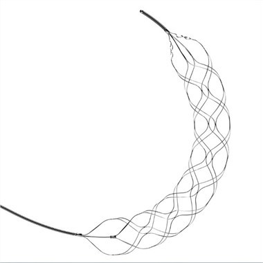Thrombectomi Stent Adalwadwy