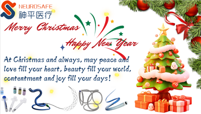 Gwyliau Nadolig Hapus A Dymuniadau Gorau Oddi Wrth y Tîm NeuroSafe!
